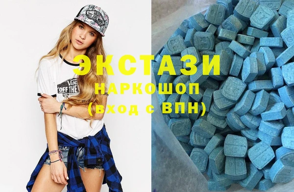 ECSTASY Богородск