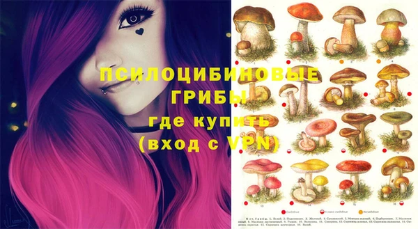 ГАЛЛЮЦИНОГЕННЫЕ ГРИБЫ Белоозёрский